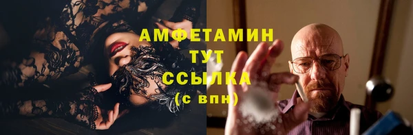 дмт Нея