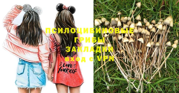 дмт Нея