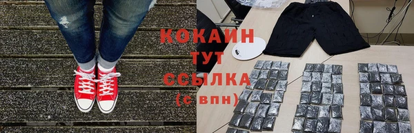 дмт Нея