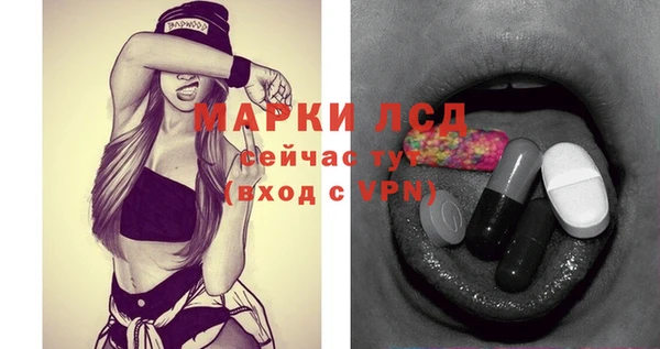дмт Нея