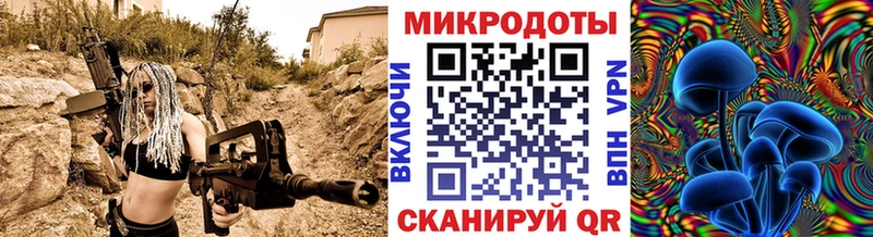 купить  цена  Шали  Псилоцибиновые грибы Psilocybe 
